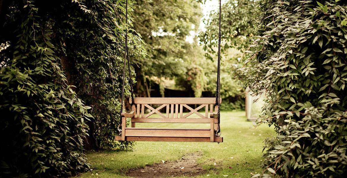 Plant up a low-maintenance pot or border