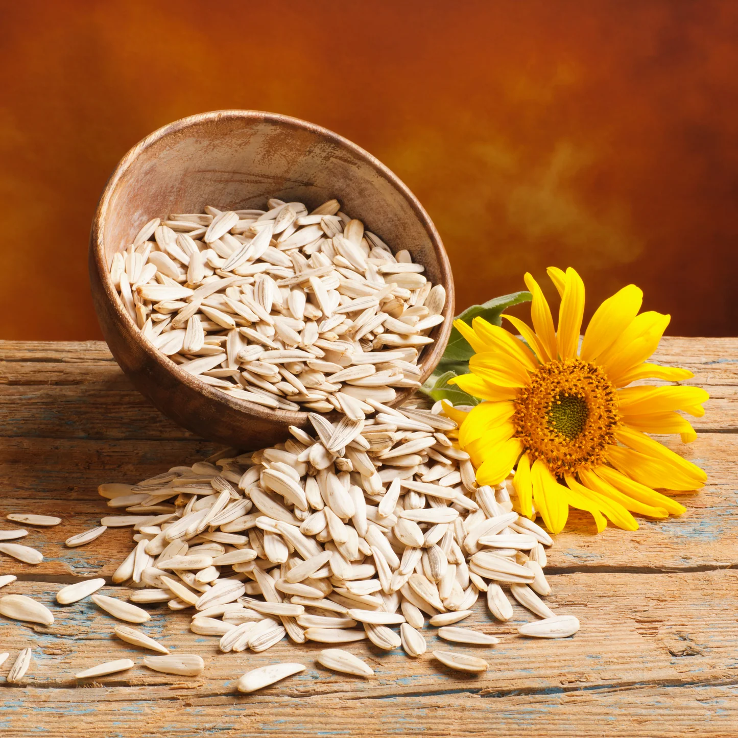 sunflower seeds protein | Mudgil Royal Delight